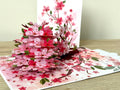 3D Pop Up Card - Cherry Blossom