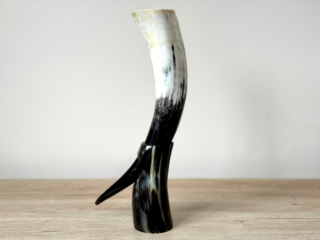 Viking Drinking Horn