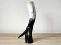 Viking Drinking Horn