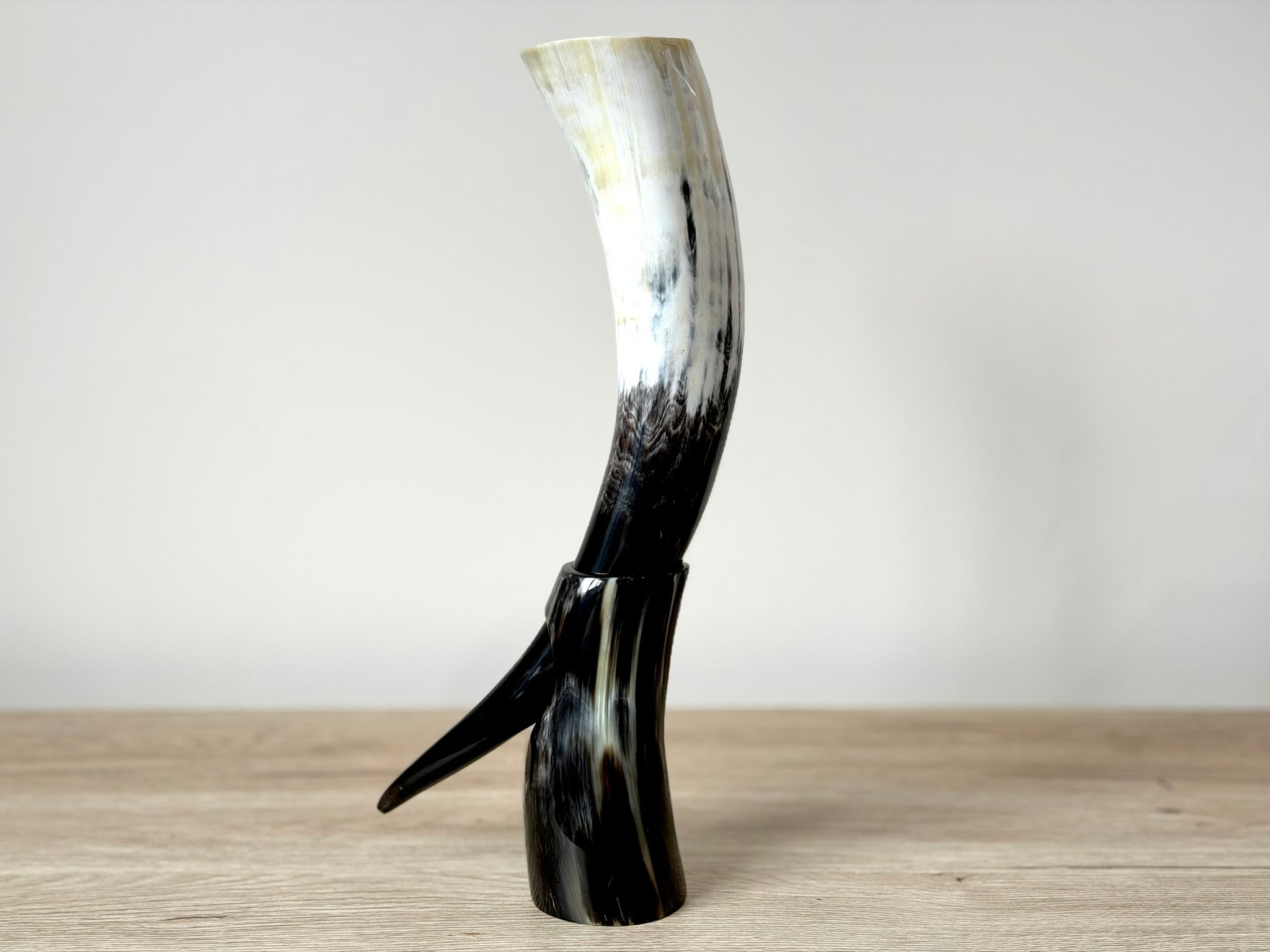 Viking Drinking Horn